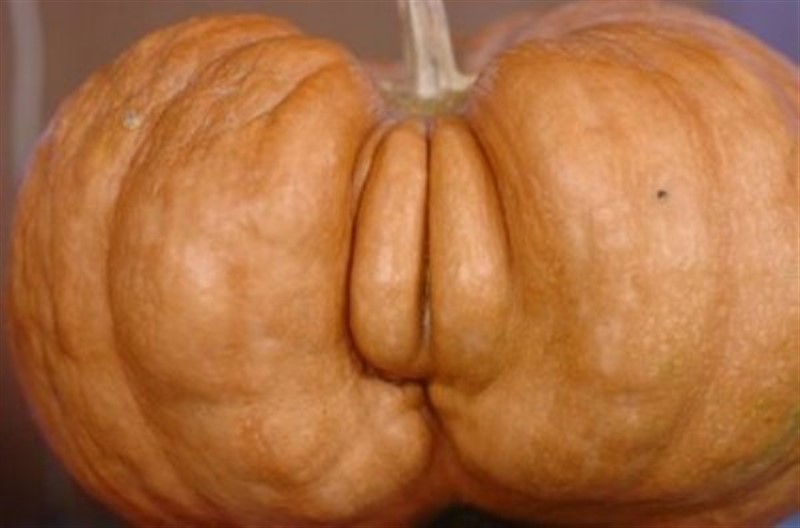Calabaza Extraña