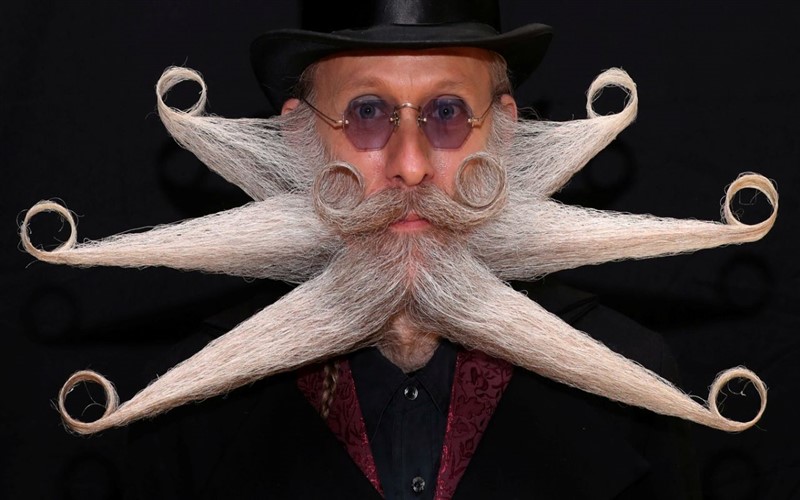 Bigotes y Barba Estrella