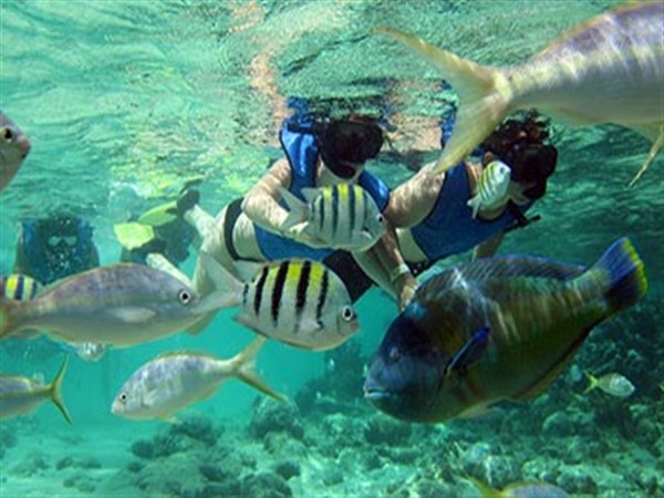 Cayo Arena Punta Rusia - 03 + Rep. Dom.