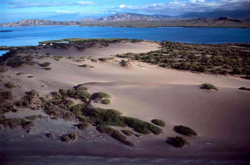 Dunas de Bani. Rep-Dom - 03