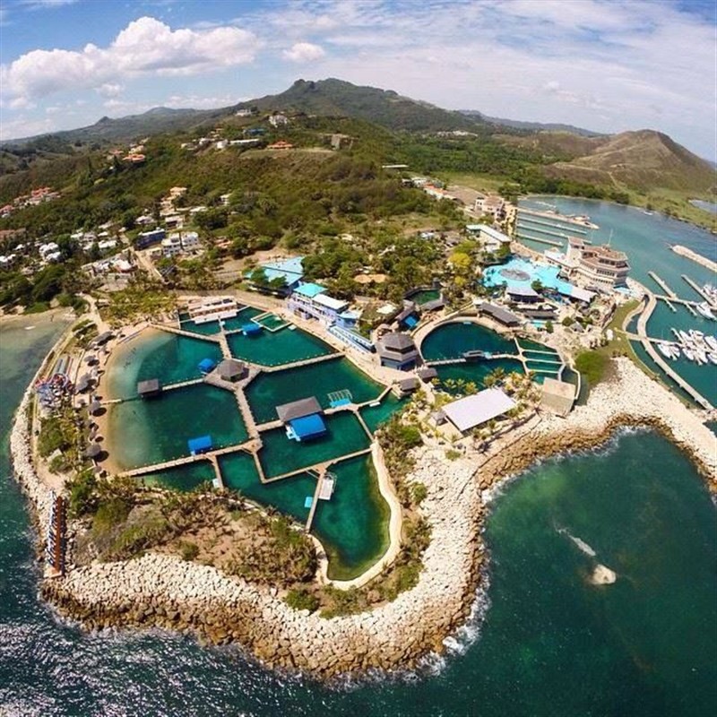 Ocean World - Puerto-Plata - 03