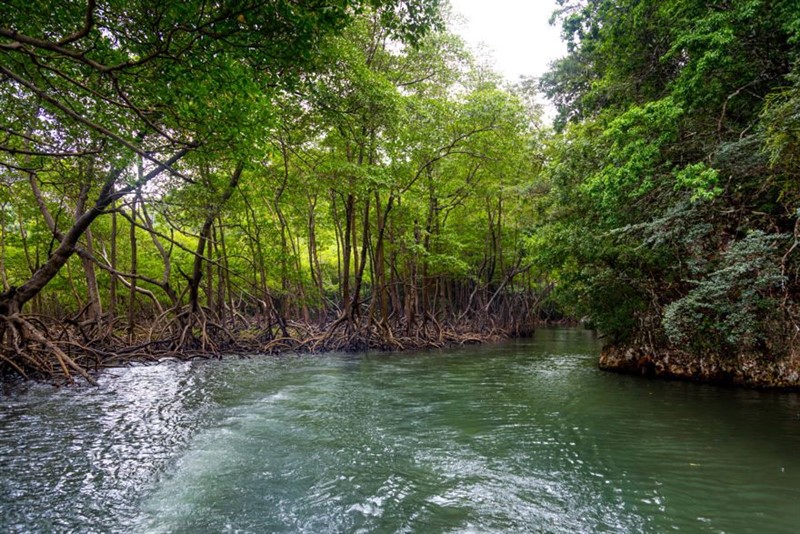 Parque Los Haitises - Rep-Dom - 03