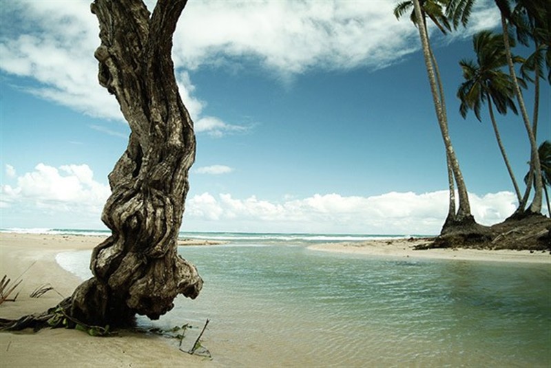 Las Terrenas, Rep. Dom.