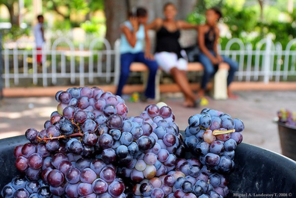 Uvas de Neyba, Rep. Dom.